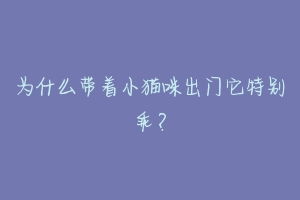 为什么带着小猫咪出门它特别乖?