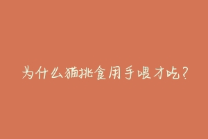 为什么猫挑食用手喂才吃?