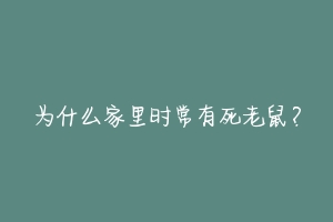 为什么家里时常有死老鼠?