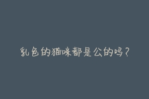 乳色的猫咪都是公的吗?