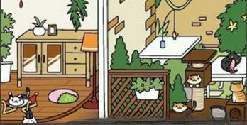 猫咪后院怎么吸引猫后院收集攻略？