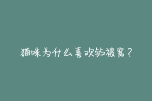 猫咪为什么喜欢钻被窝?