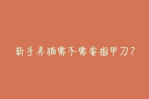 新手养猫需不需要指甲刀?