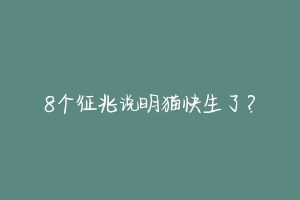 8个征兆说明猫快生了?