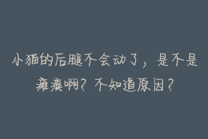 小猫的后腿不会动了,是不是瘫痪啊?不知道原因?
