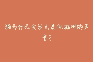 猫为什么会发出类似鹅叫的声音?