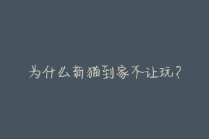 为什么新猫到家不让玩?