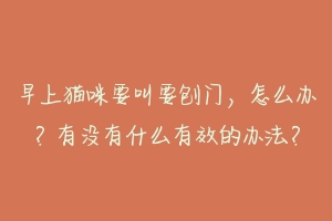 早上猫咪要叫要刨门，怎么办？有没有什么有效的办法？