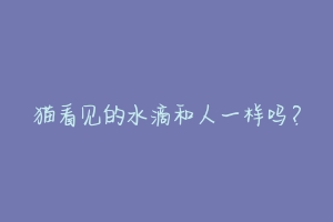 猫看见的水滴和人一样吗？