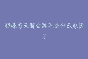 猫咪每天都会舔毛是什么原因？