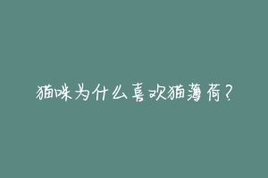 猫咪为什么喜欢猫薄荷?