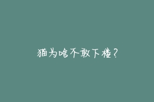 猫为啥不敢下楼？