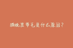 猫脱皮带毛是什么原因？