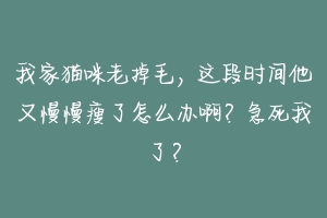 我家猫咪老掉毛,这段时间他又慢慢瘦了怎么办啊?急死我了?