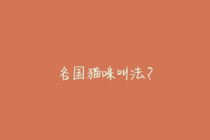 各国猫咪叫法?