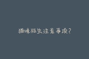 猫咪驱虫注意事项？