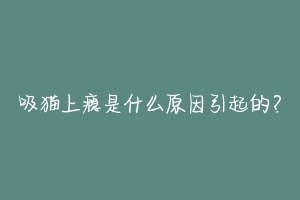 吸猫上瘾是什么原因引起的?