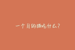 一个月的猫吃什么？