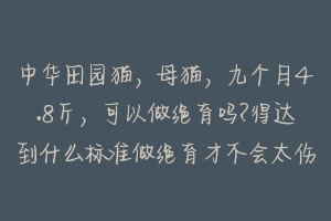 中华田园猫，母猫，九个月4.8斤，可以做绝育吗?得达到什么标准做绝育才不会太伤害身体啊？