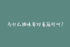 为什么猫咪要对着厕所叫?