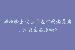 猫咪脚上长出了这个好像是癣,这该怎么办啊?