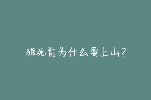 猫死前为什么要上山？
