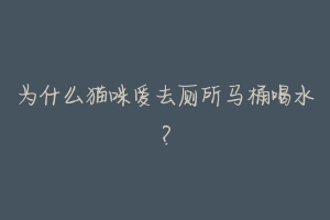 为什么猫咪爱去厕所马桶喝水?