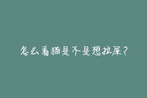 怎么看猫是不是想拉屎?