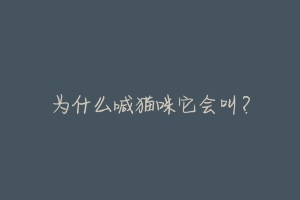 为什么喊猫咪它会叫?