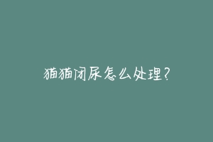 猫猫闭尿怎么处理?