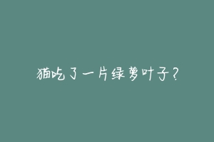 猫吃了一片绿萝叶子?