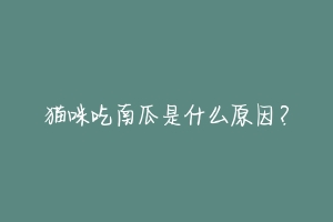 猫咪吃南瓜是什么原因?