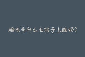 猫咪为什么在被子上踩奶?