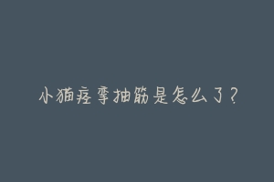 小猫痉挛抽筋是怎么了?