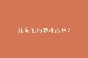 丝质毛的猫咪品种？