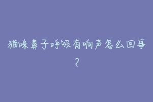 猫咪鼻子呼吸有响声怎么回事？