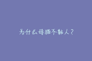 为什么母猫不黏人？