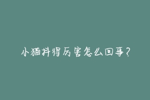 小猫抖得厉害怎么回事?