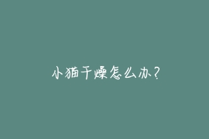 小猫干燥怎么办?