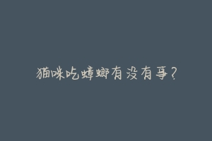 猫咪吃蟑螂有没有事?