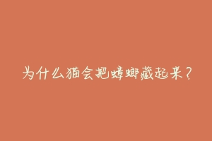 为什么猫会把蟑螂藏起来?