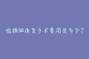 给猫做绝育手术费用是多少?