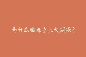 为什么猫咪手上长胡须?