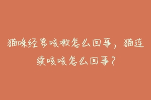 猫咪经常咳嗽怎么回事,猫连续咳咳怎么回事?
