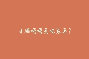 小猫嗯嗯是啥意思?