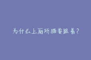为什么上厕所猫要跟着?