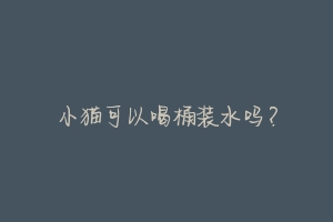 小猫可以喝桶装水吗?