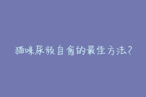猫咪尿频自愈的最佳方法?