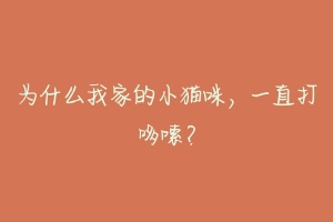 为什么我家的小猫咪,一直打哆嗦?