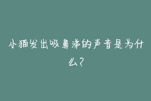 小猫发出吸鼻涕的声音是为什么?